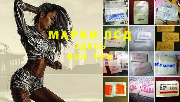 spice Карпинск