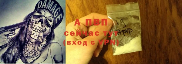 spice Карпинск