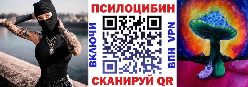 Купить  Горно-Алтайск  Псилоцибиновые грибы GOLDEN TEACHER 