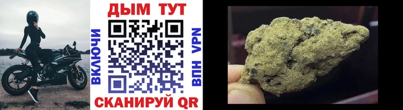 Купить закладки  Горно-Алтайск  Бошки Шишки VHQ 